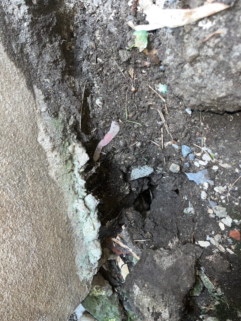 北区のネズミ対策工事一式|I様邸 16