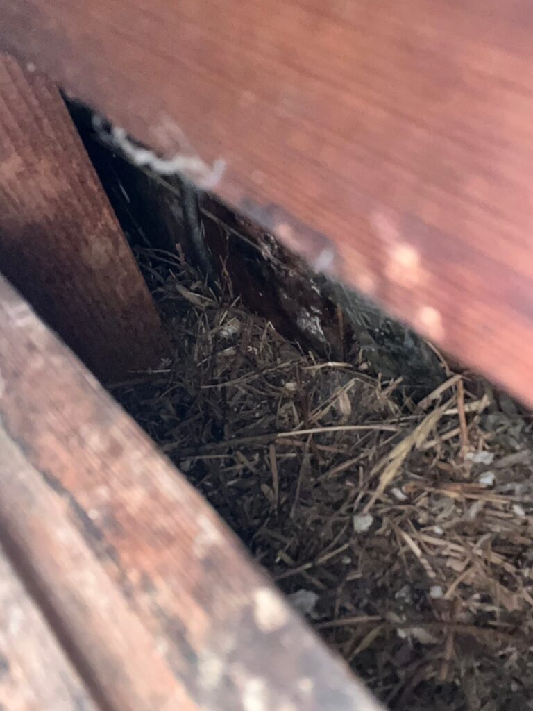 坂戸市のネズミ・アライグマ対策工事|M様邸 13