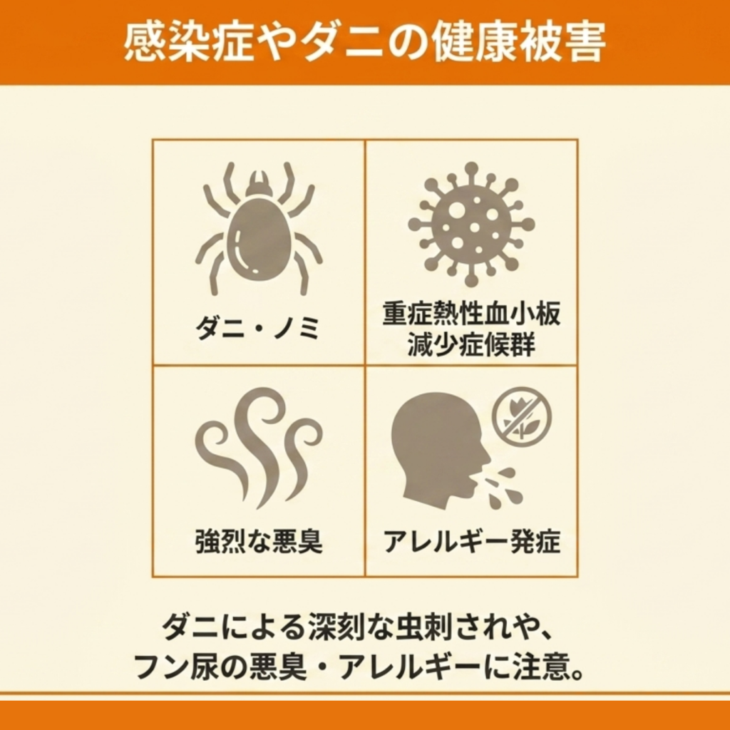 ハクビシンの怖い健康被害