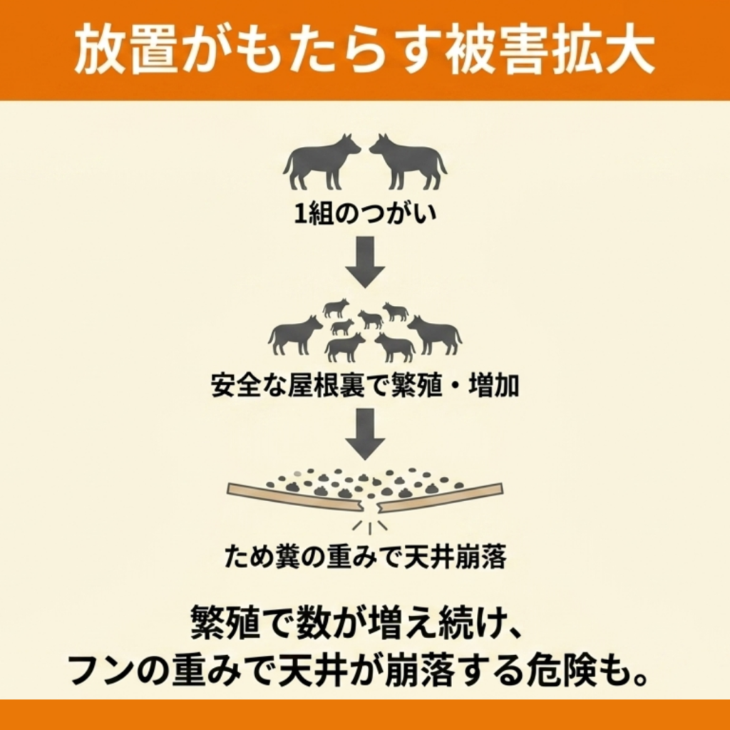 ハクビシンを放置すると何が怖いのか