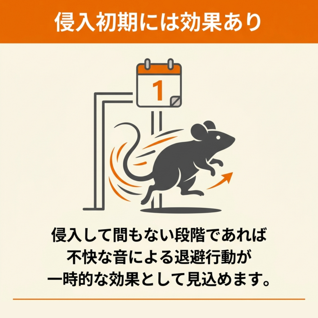 超音波駆除器に期待できるネズミ対策効果