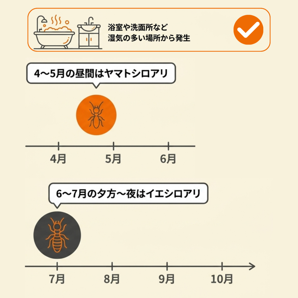 羽アリを見つけたときの見分け方と対応手順