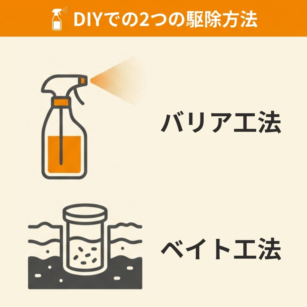 自分でシロアリ駆除を行う具体的な方法