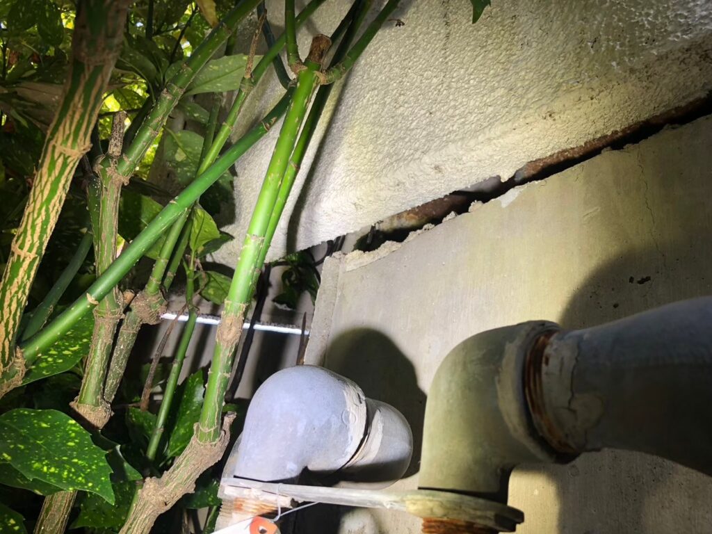 福岡市のアライグマ対策工事|Y様邸 1