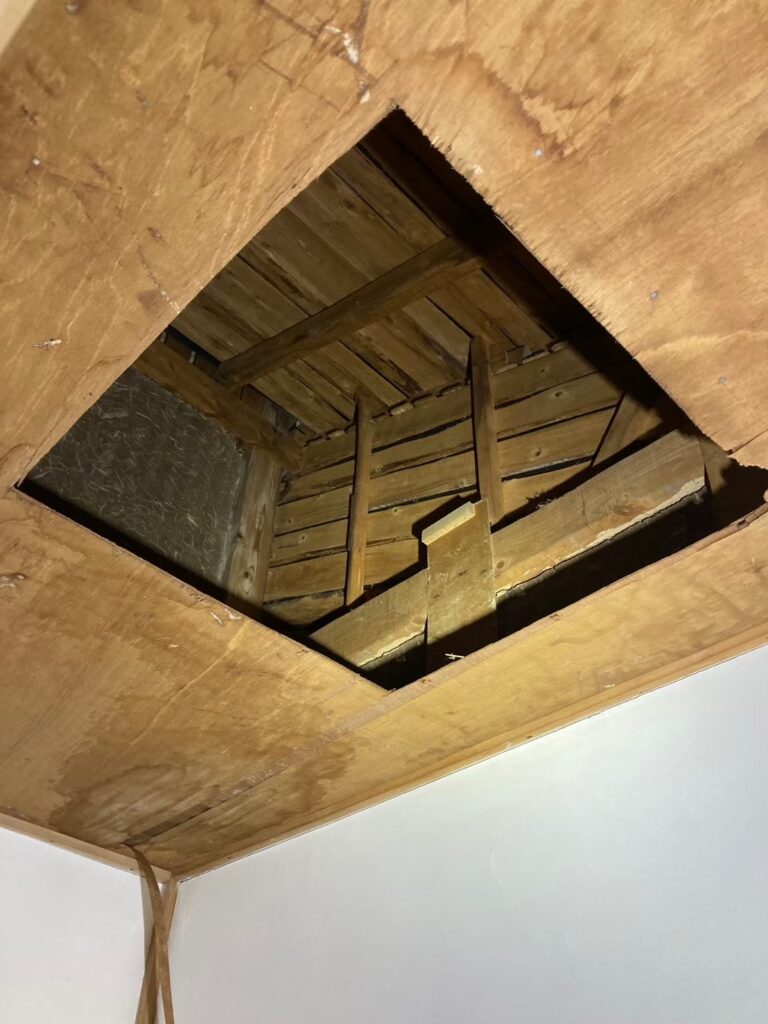 久留米市のアライグマ対策工事|N様邸 2