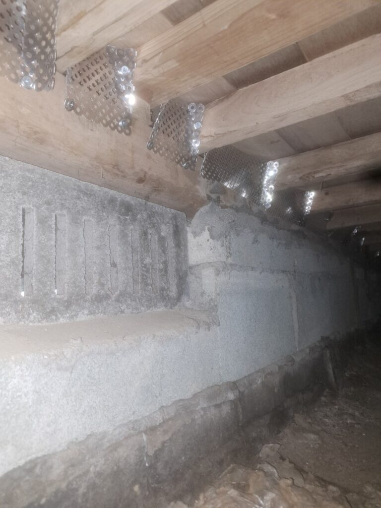 福岡市のアライグマ対策工事|Y様邸 9