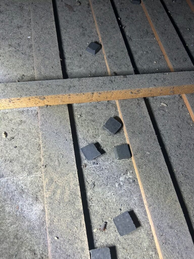 生駒市のアライグマ対策工事|S様邸 13