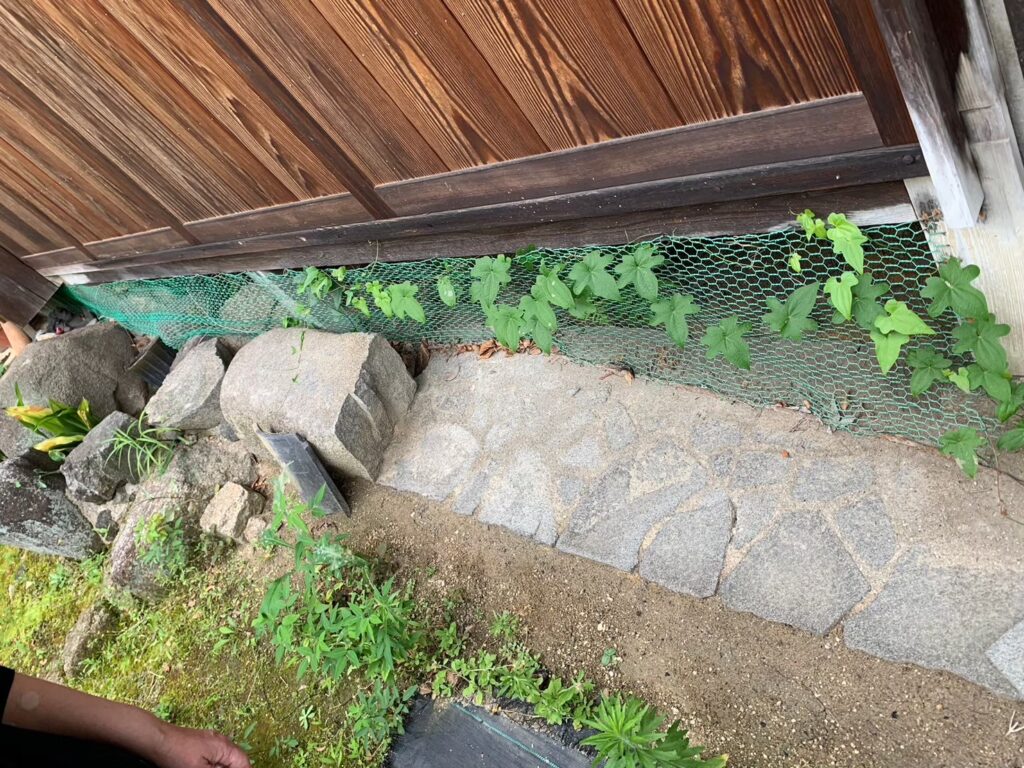 生駒市のアライグマ対策工事|S様邸 2
