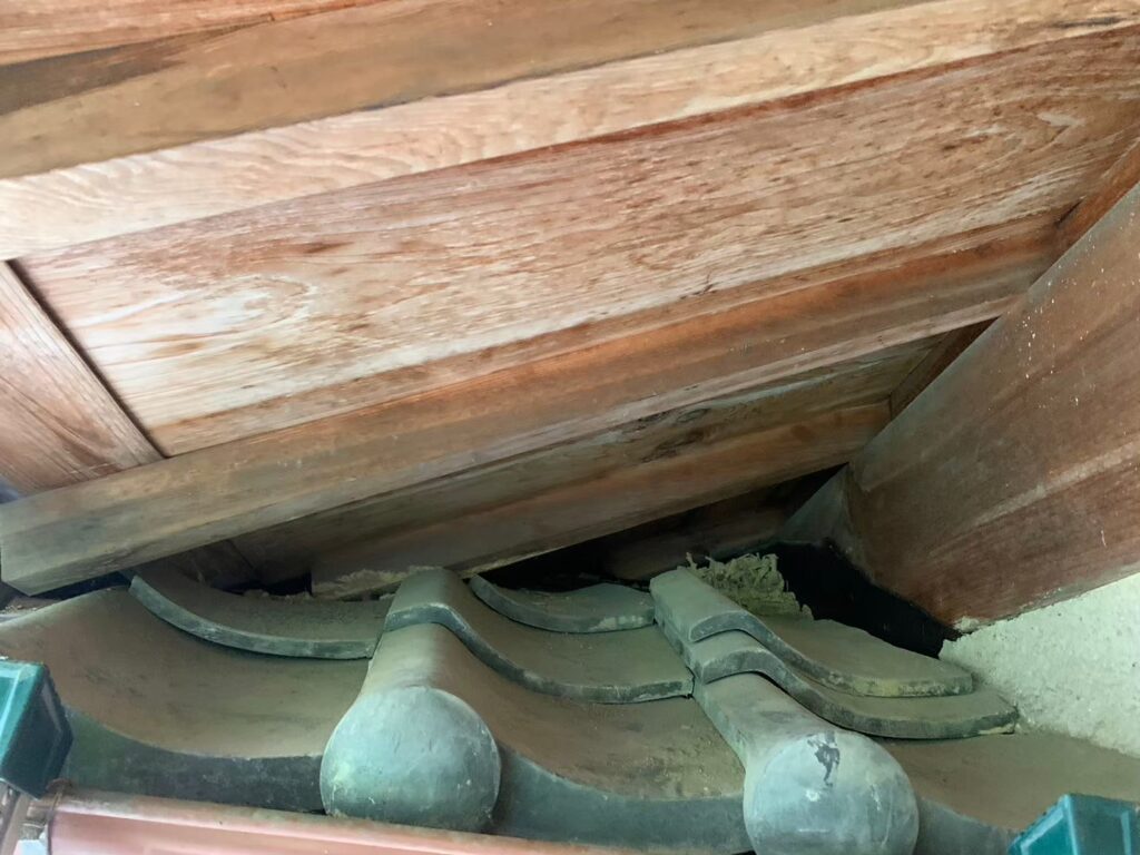 生駒市のアライグマ対策工事|S様邸 20