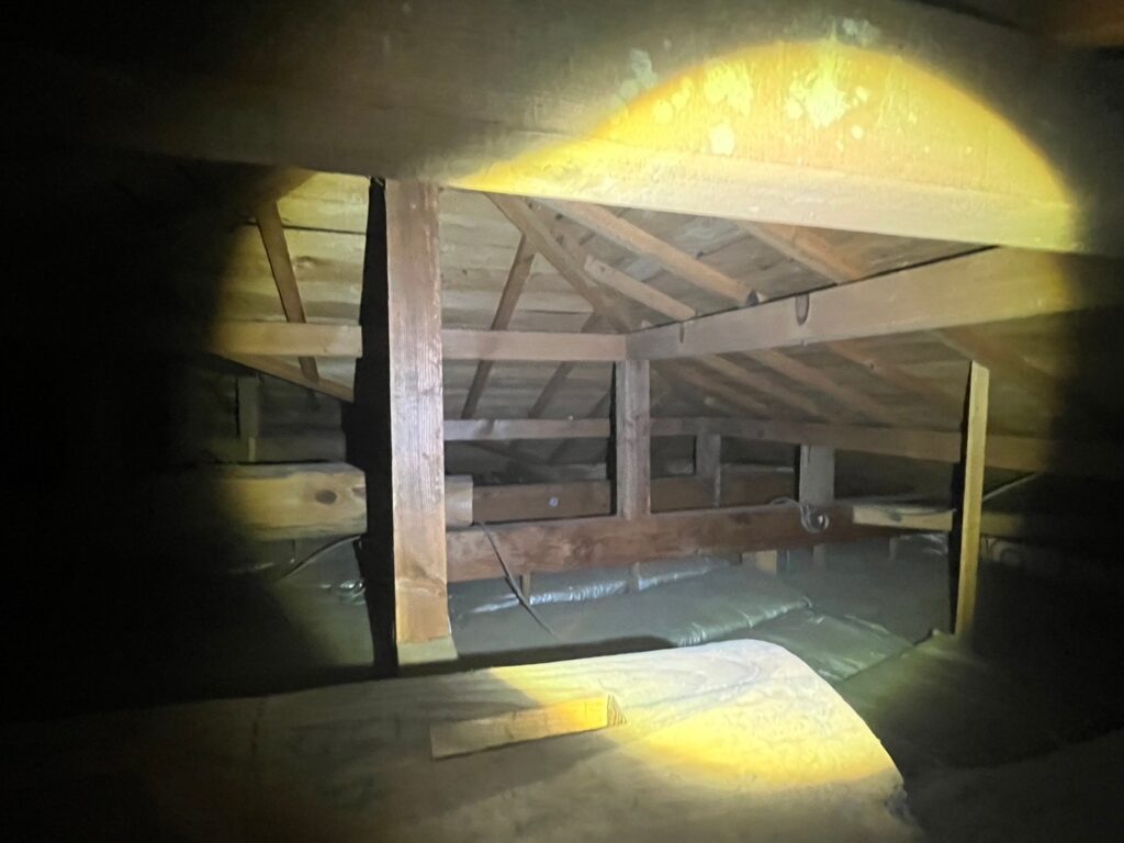和泉市のイタチ対策工事｜N様邸 3