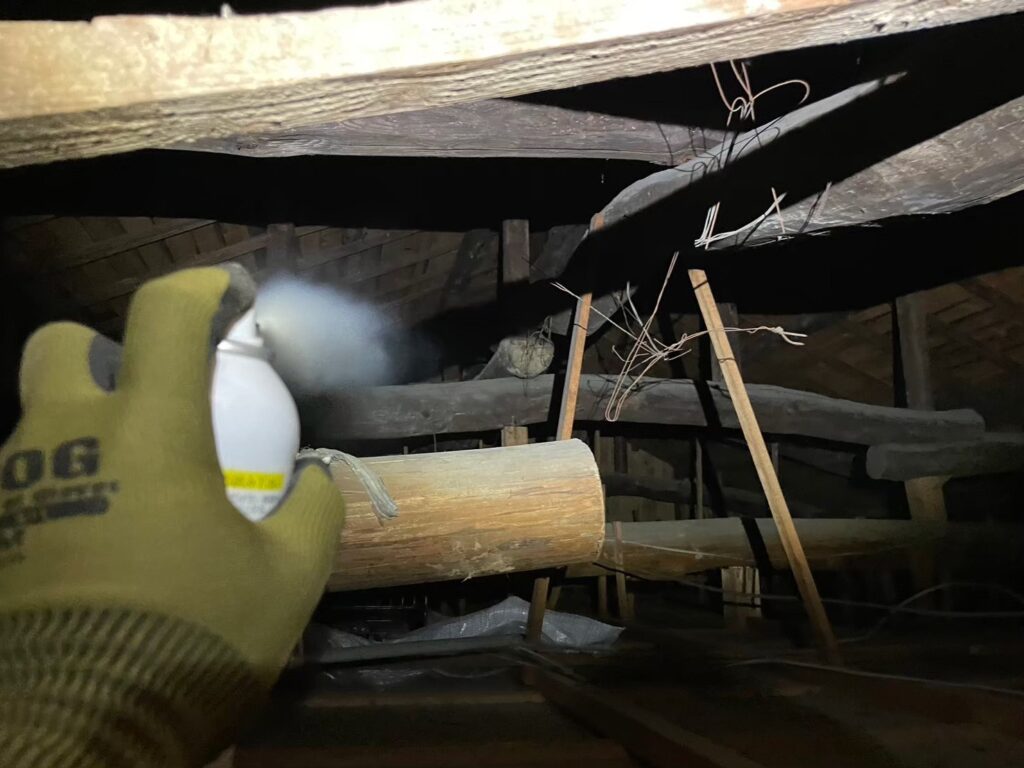 福岡市のアライグマ対策工事|Y様邸 4