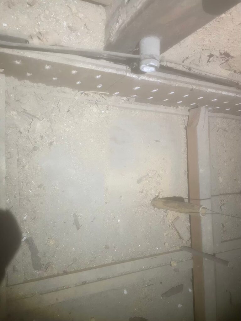 福岡市のアライグマ対策工事|Y様邸 8