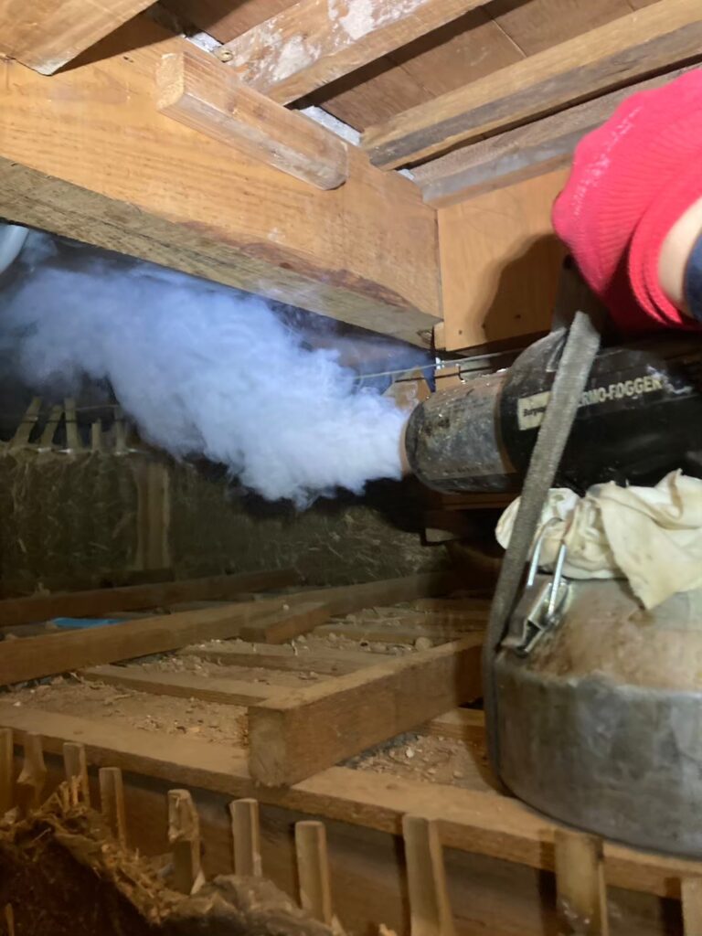 久留米市のアライグマ対策工事|N様邸 8