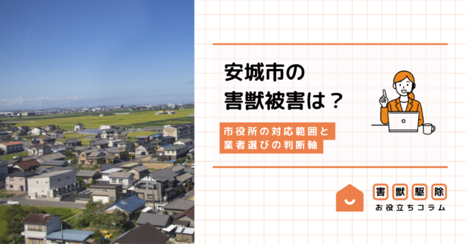 安城市の害獣駆除｜市役所の対応範囲と業者選びの判断軸