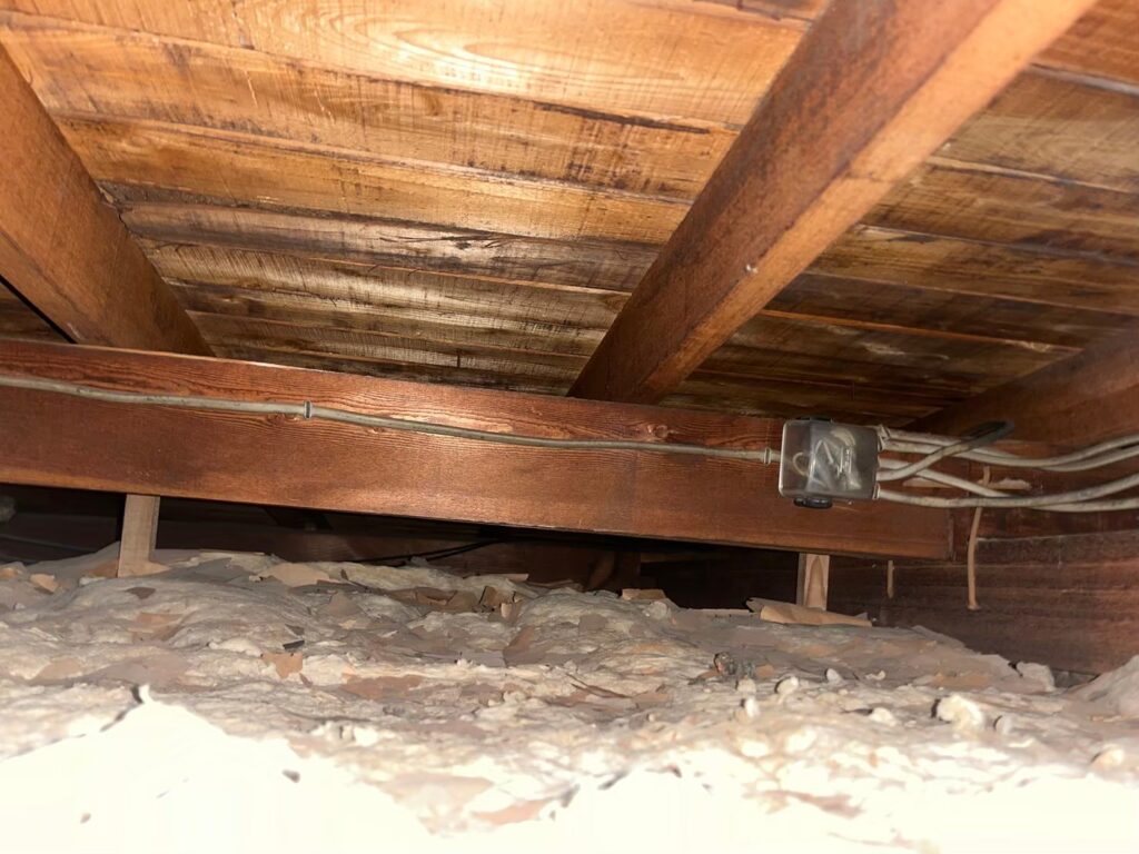 渋谷区のネズミ対策工事｜A様邸 2