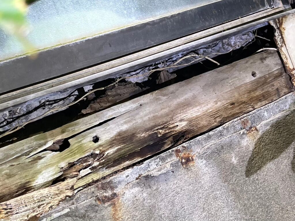八街市のハクビシン対策工事一式|U様邸 1