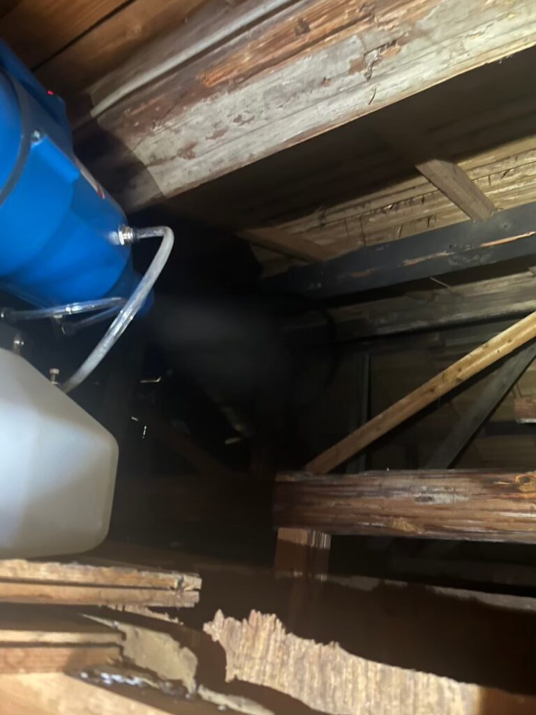 藤岡市のアライグマ対策工事一式｜Y様邸 5