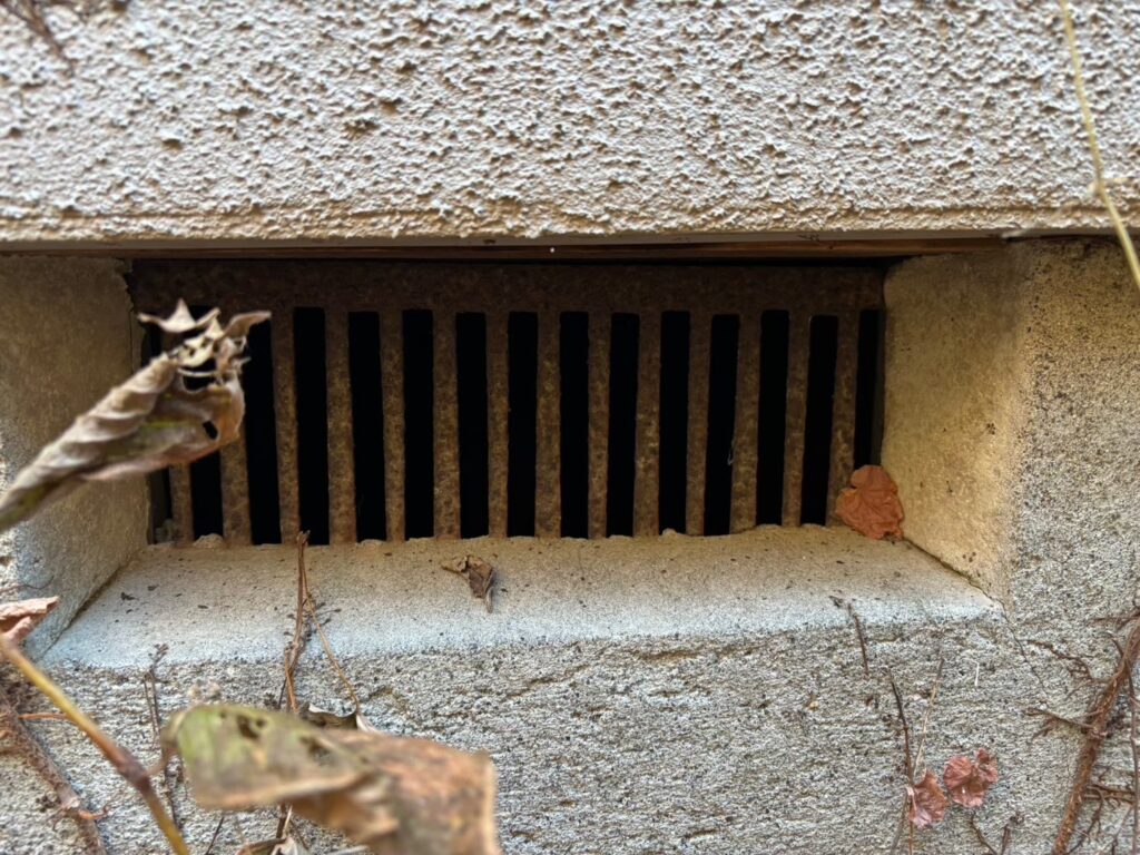 横浜市のネズミ・中型害獣対策工事｜O様邸 21