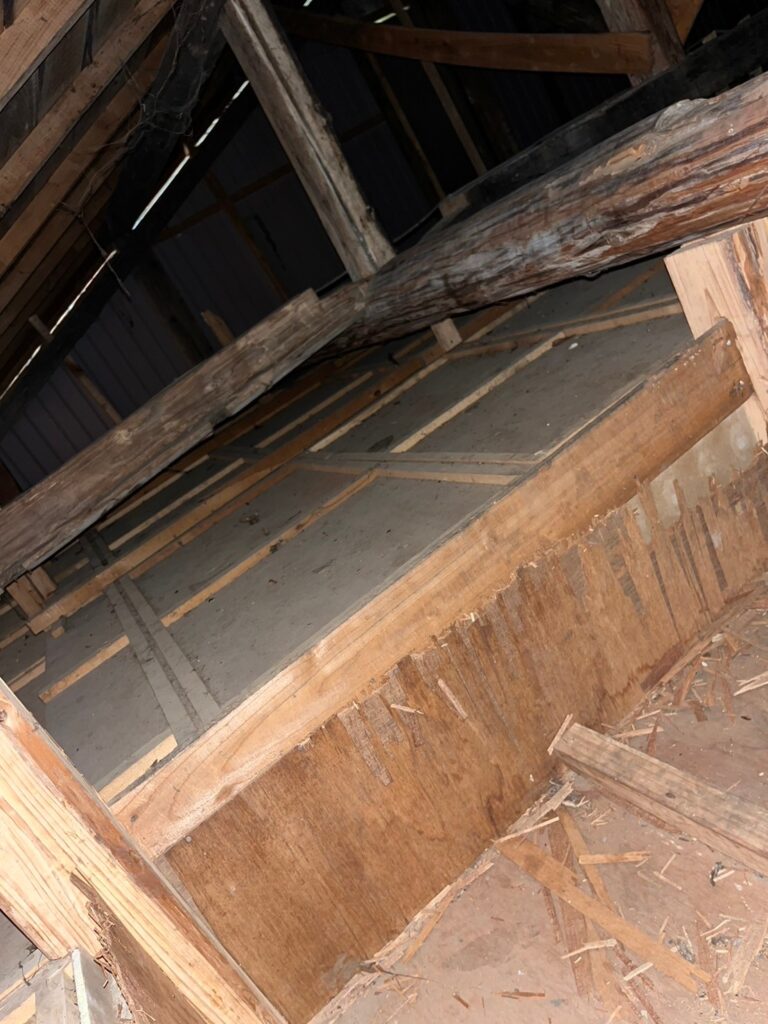 藤岡市のアライグマ対策工事一式｜Y様邸 1