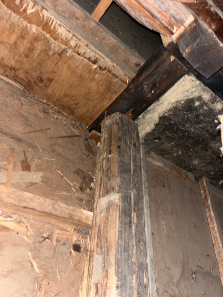 藤岡市のアライグマ対策工事一式｜Y様邸 2
