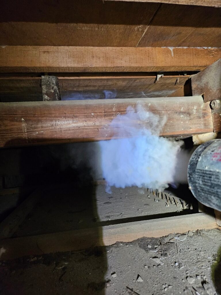 蕨市のネズミ対策工事｜E様邸 13