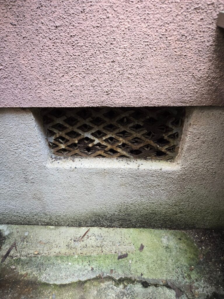 京都市のイタチ対策工事｜O様邸 5