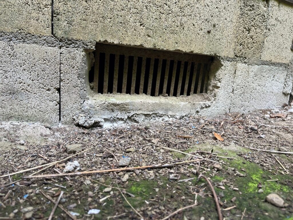 藤岡市のアライグマ対策工事一式｜Y様邸 3