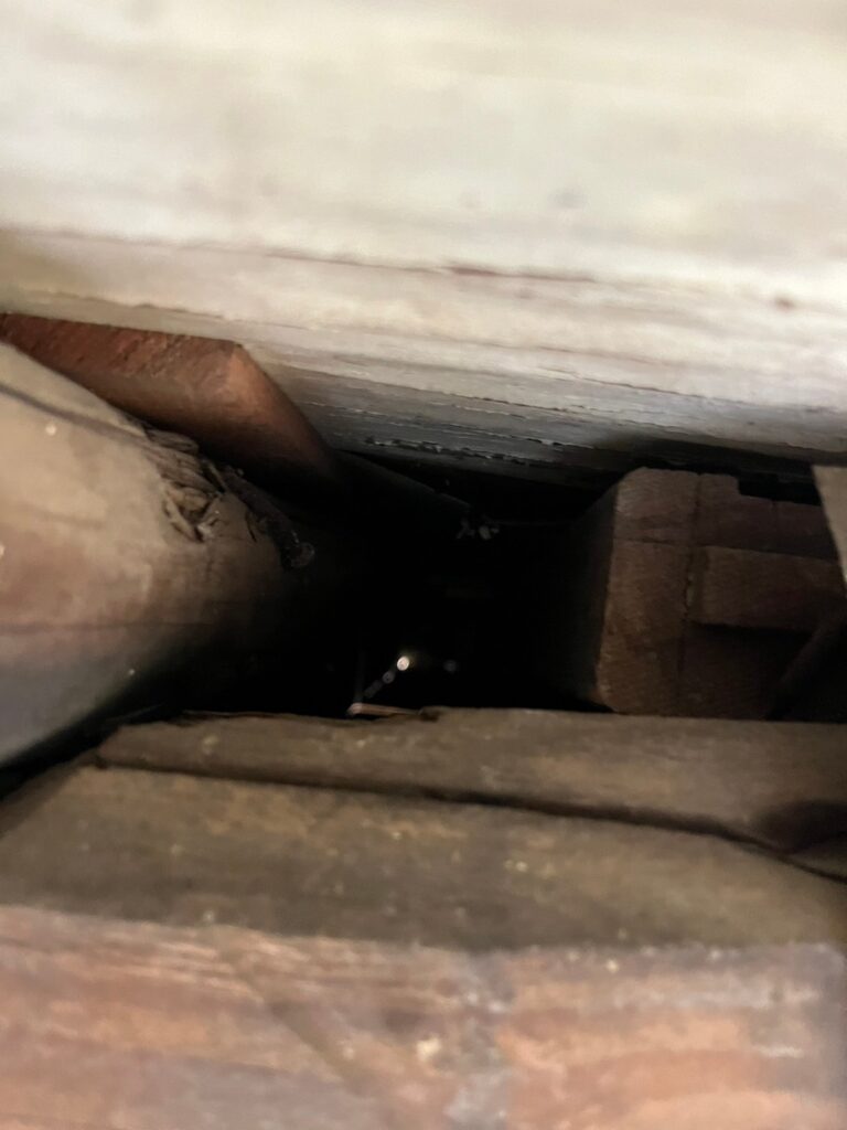 藤岡市のアライグマ対策工事一式｜Y様邸 4