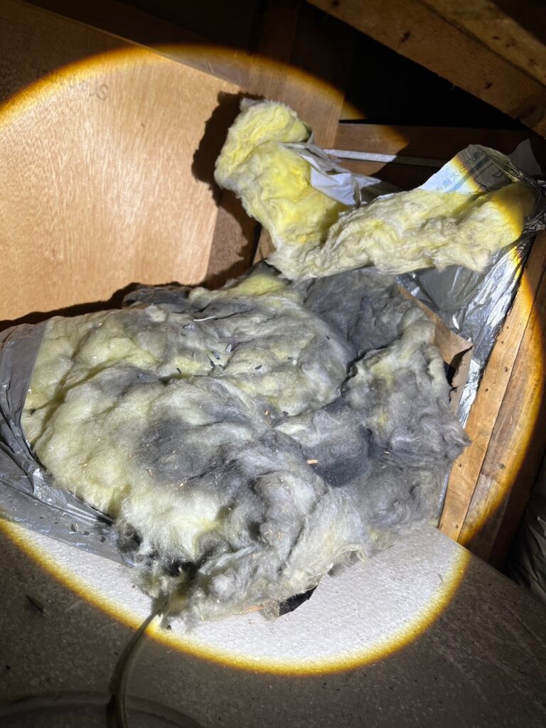府中市のネズミ対策工事｜T様邸 3
