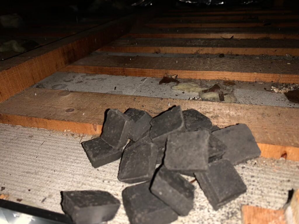 寝屋川市のイタチ対策工事|N様邸 2