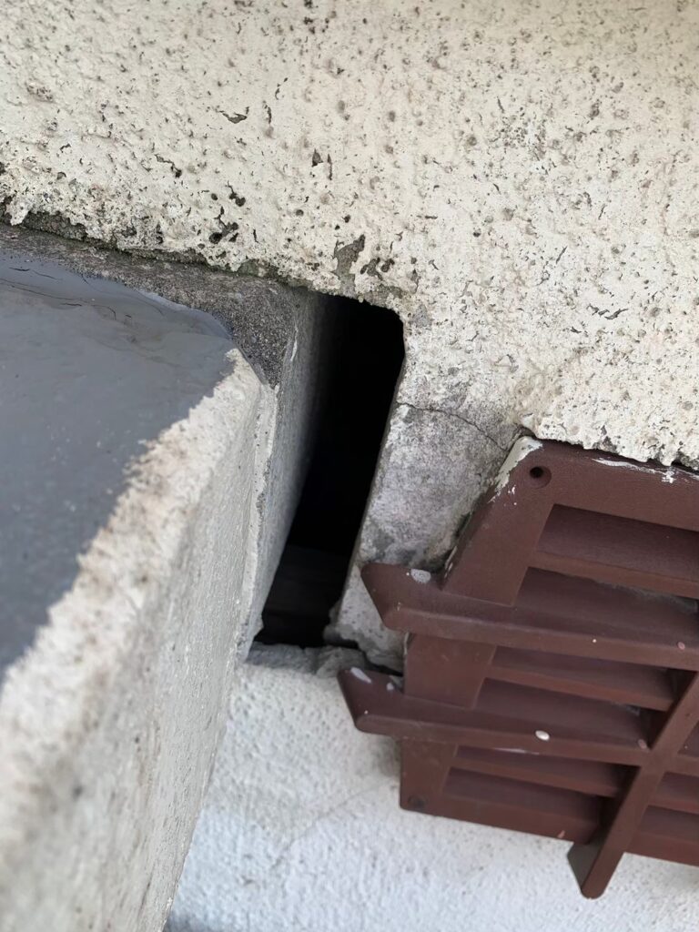 寝屋川市のイタチ対策工事|N様邸 23
