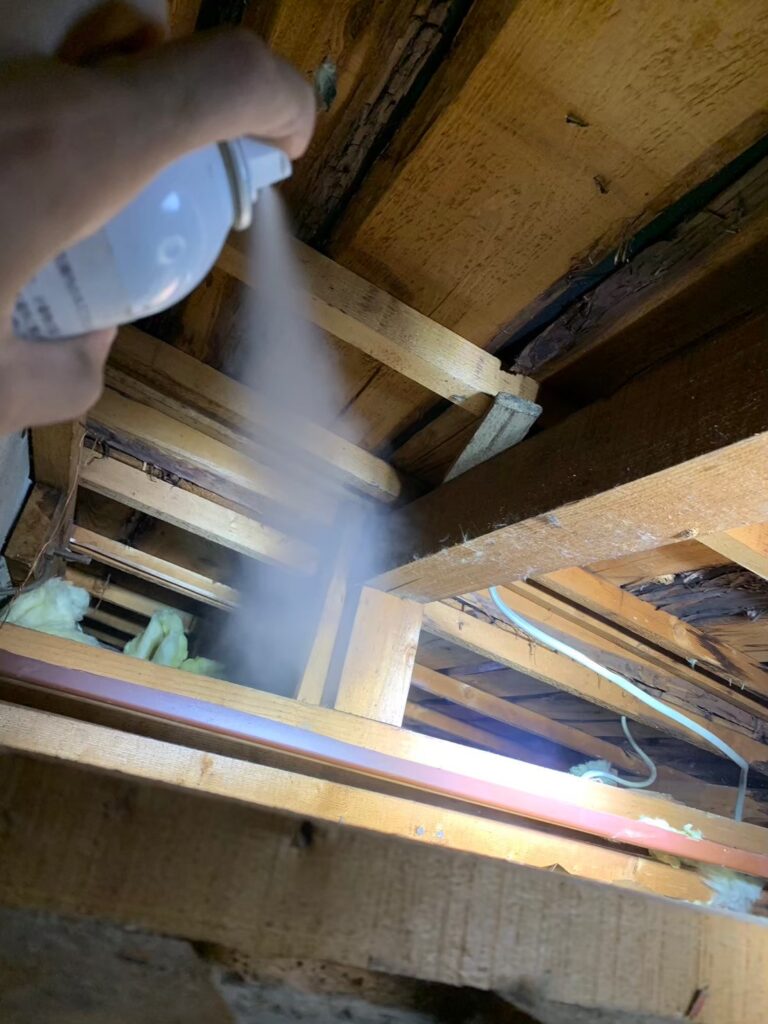 寝屋川市のイタチ対策工事|N様邸 27