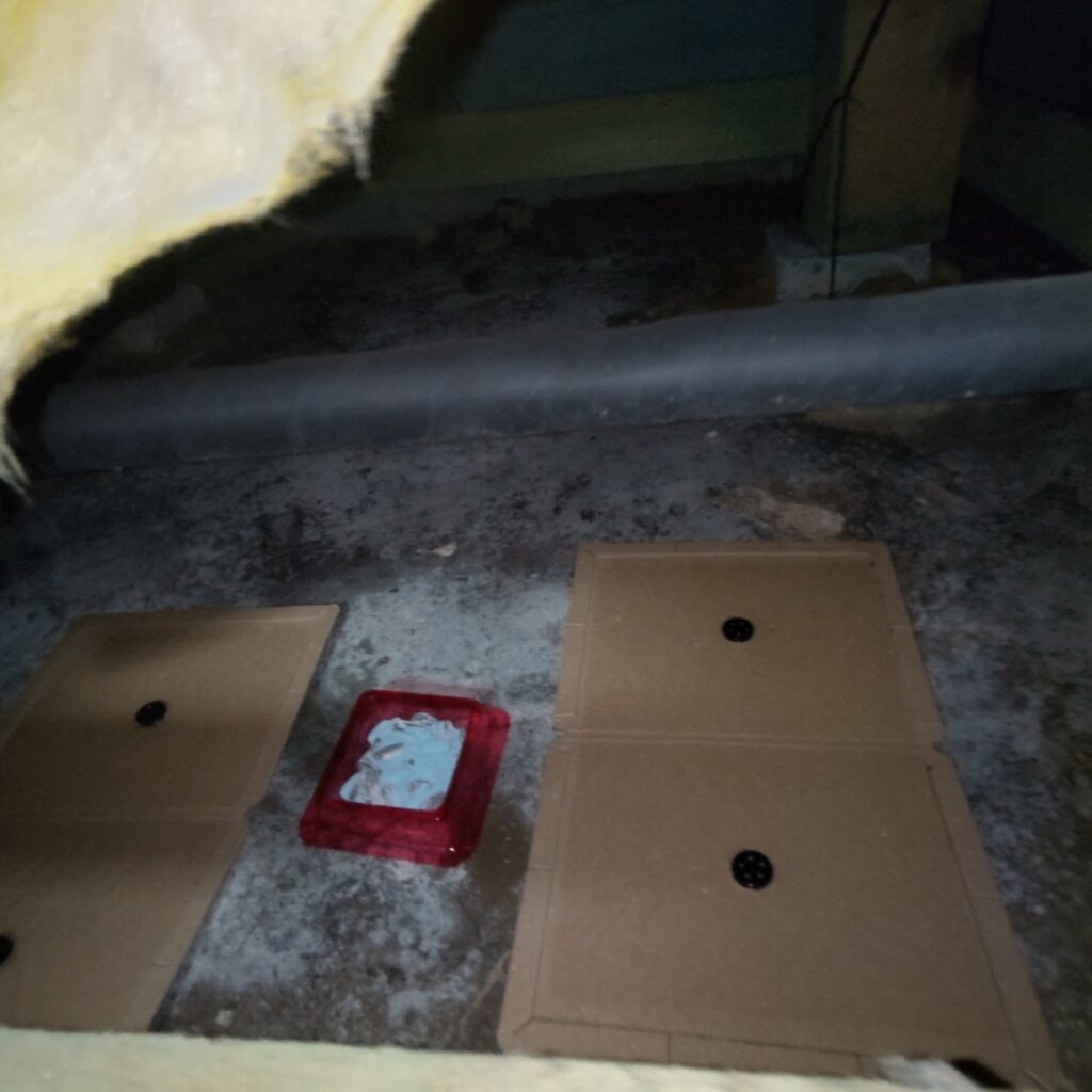 松戸市のネズミ対策工事一式｜S様邸 28
