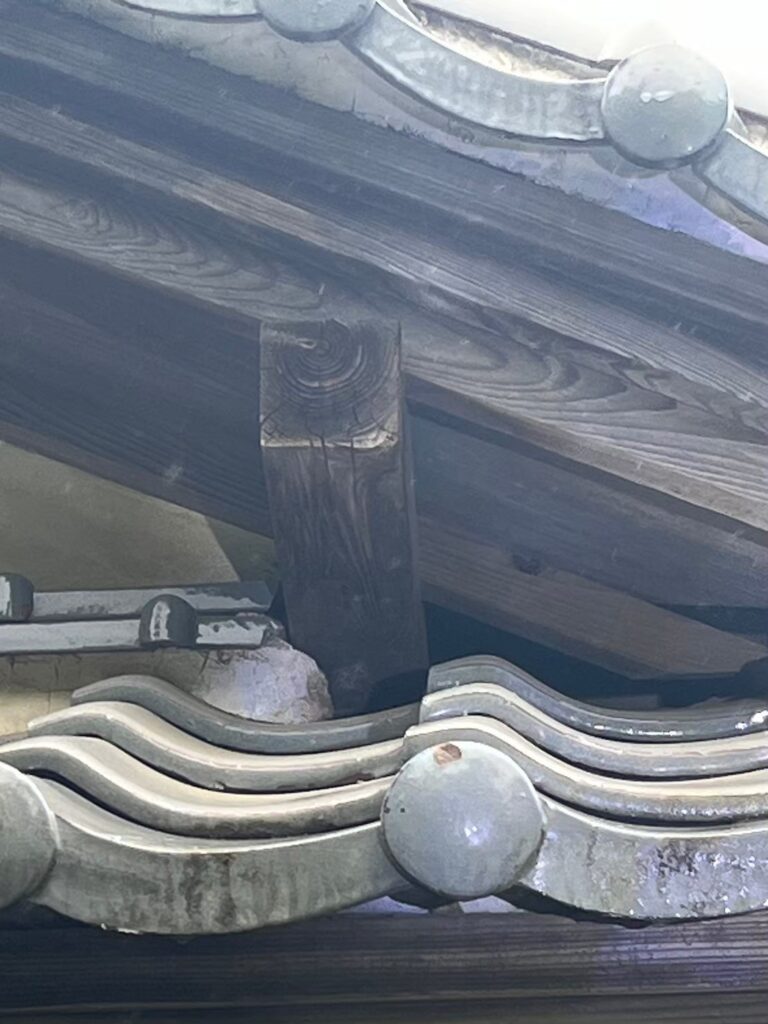 八街市のハクビシン対策工事一式|U様邸 4