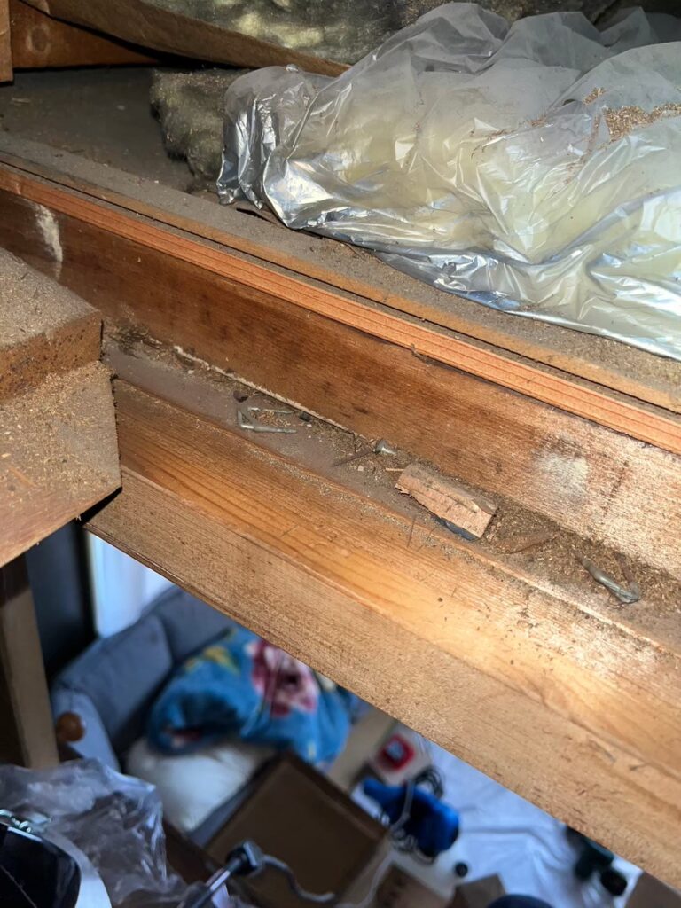 市川市のネズミ対策工事｜K様邸 20