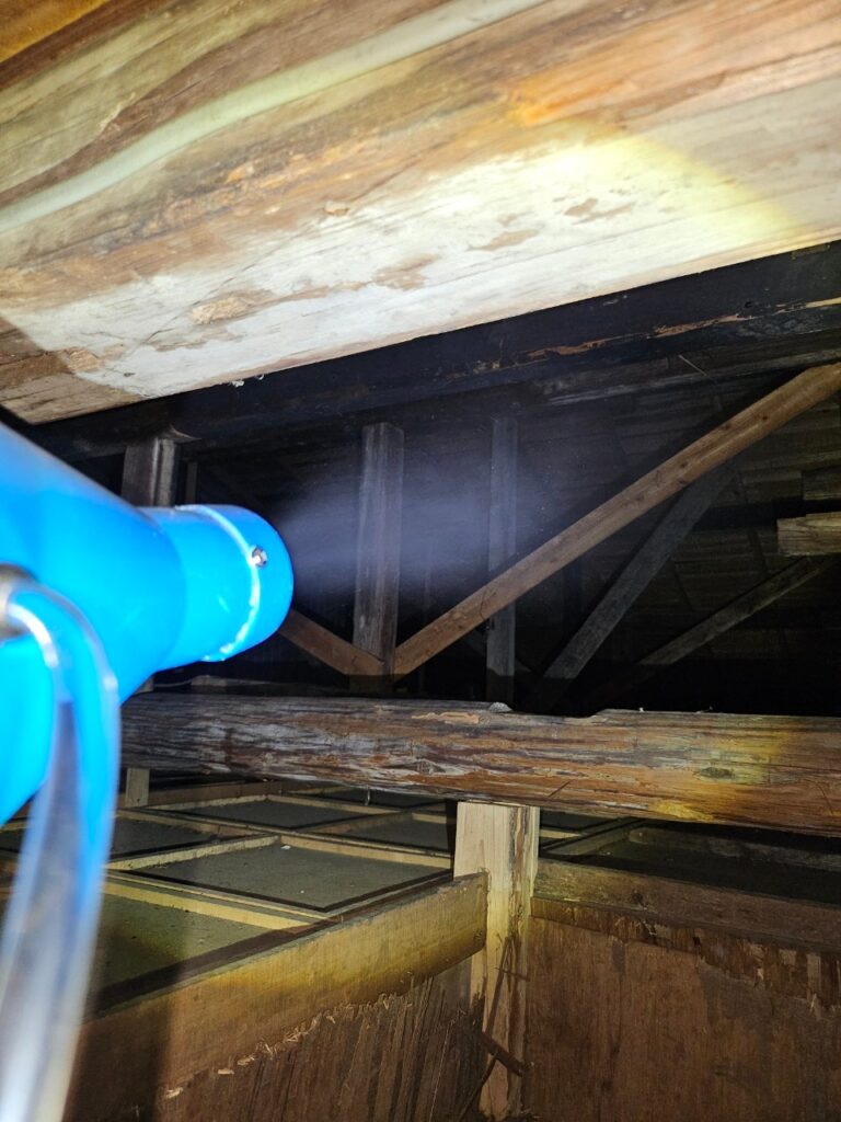藤岡市のアライグマ対策工事一式｜Y様邸 10