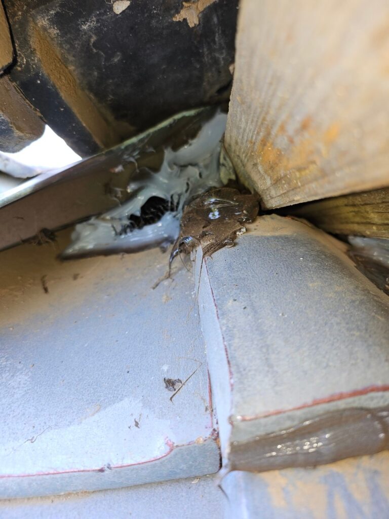 八街市のハクビシン対策工事一式|U様邸 7