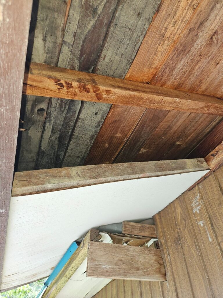 藤岡市のアライグマ対策工事一式｜Y様邸 12