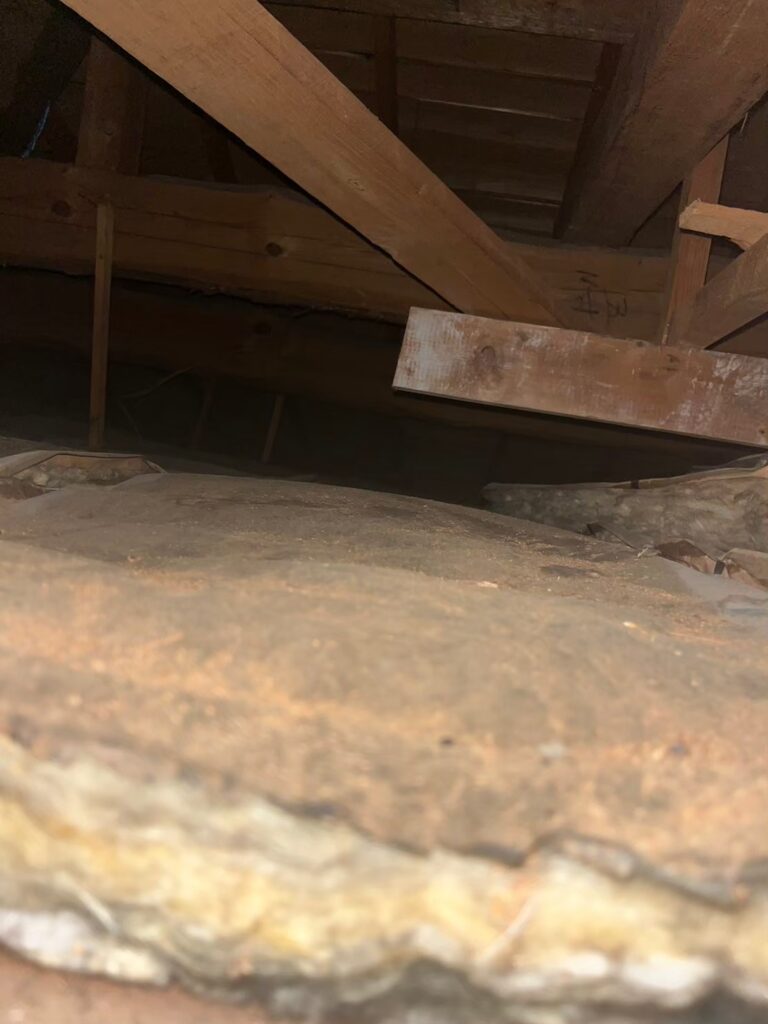 船橋市のネズミ対策工事一式｜Y様邸 2