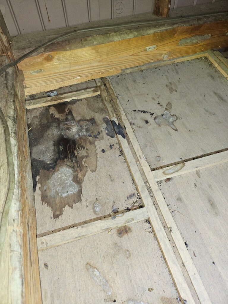 藤岡市のアライグマ対策工事一式｜Y様邸 13