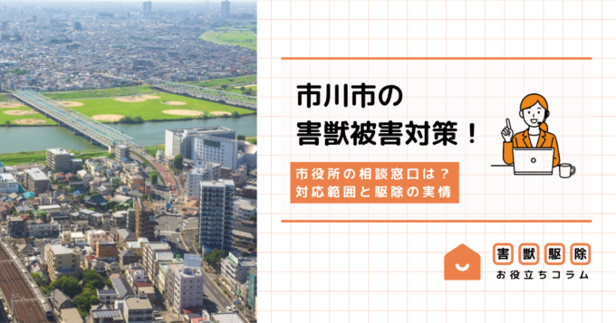 市川市の害獣被害対策！市役所の相談窓口は？対応範囲と駆除の実情