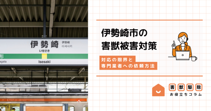 伊勢崎市で害獣が出たら市役所へ相談すべき？対応の限界と専門業者への依頼方法