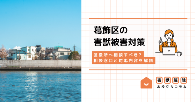 葛飾区で害獣被害にあったら区役所へ?相談窓口と対応内容を解説