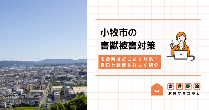 小牧市の害獣被害で市役所はどこまで対応？窓口と制度を詳しく紹介