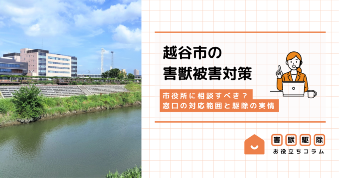 越谷市の害獣被害は市役所で相談？窓口の対応範囲と駆除の実情