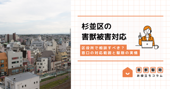 杉並区の害獣被害は区役所で相談?窓口の対応範囲と駆除の実情