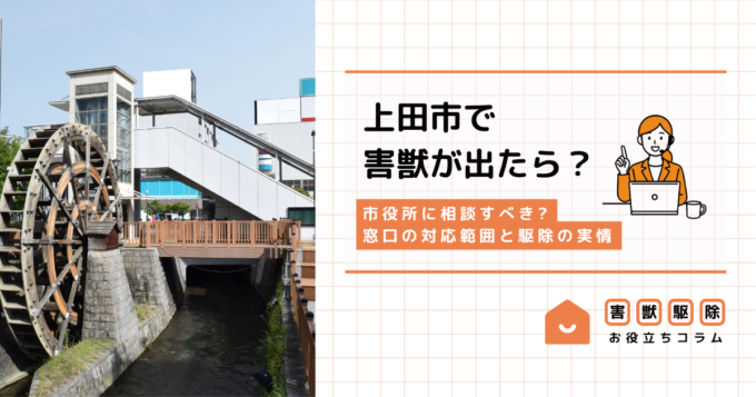 上田市で害獣が出たら市役所に相談?窓口の対応範囲と駆除の実情