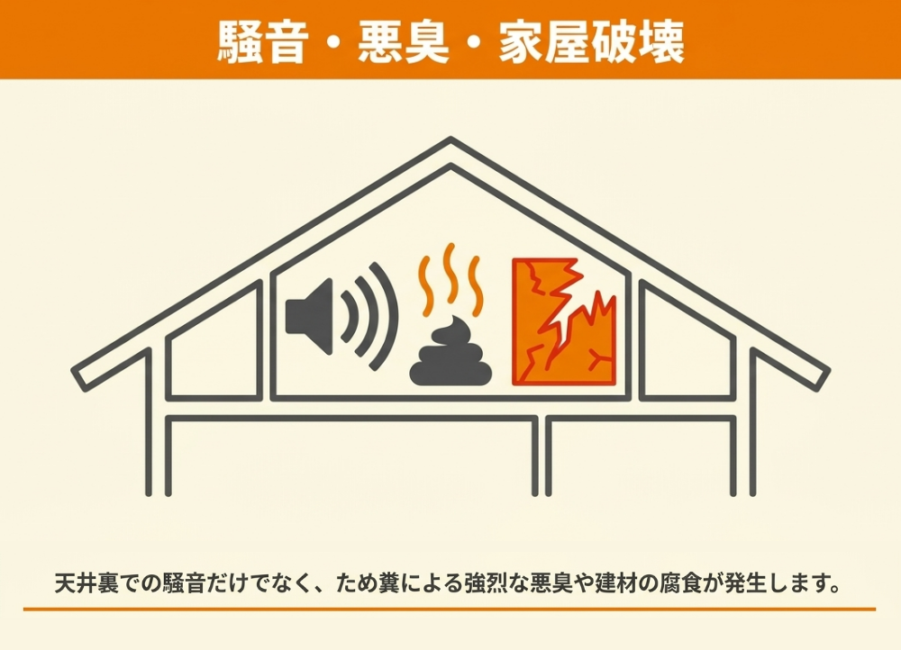 イタチによる住宅被害の怖さ