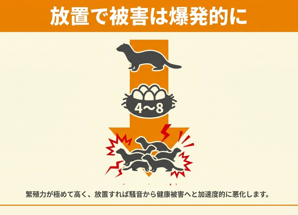イタチ被害を放置するとどうなるか