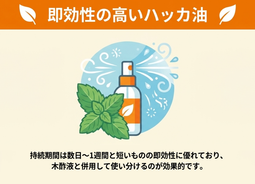 ハッカ油を使ったイタチ対策